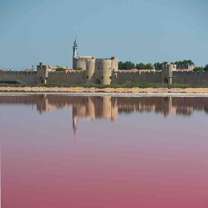 Maison Chaleureuse A 5 Mins Des Remparts Aigues-Mortes Eksteriør bilde