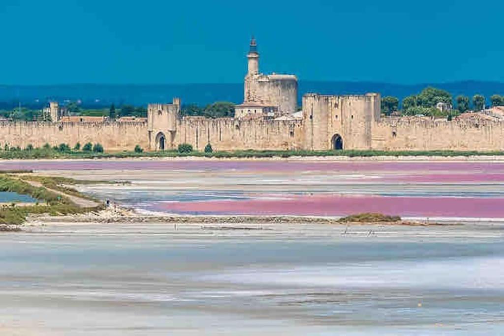 Maison Chaleureuse A 5 Mins Des Remparts Aigues-Mortes Eksteriør bilde